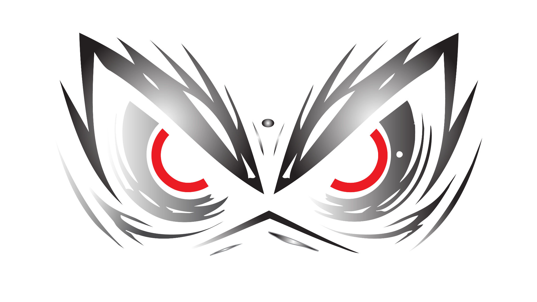 Banner Graphic